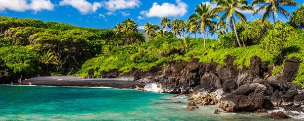 Quelles sont les particularités qui font de Maui Magic une destination de plage magique